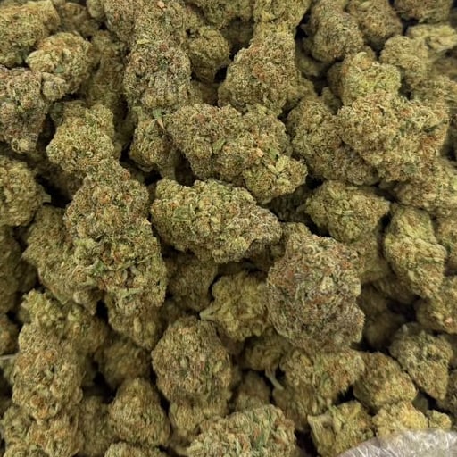 Cherry Slushie bulk THCA flower — Plain Jane 1 lb