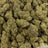 Cherry Slushie bulk THCA flower — Plain Jane 1 lb