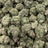 China White bulk THCA flower — Plain Jane 1 lb