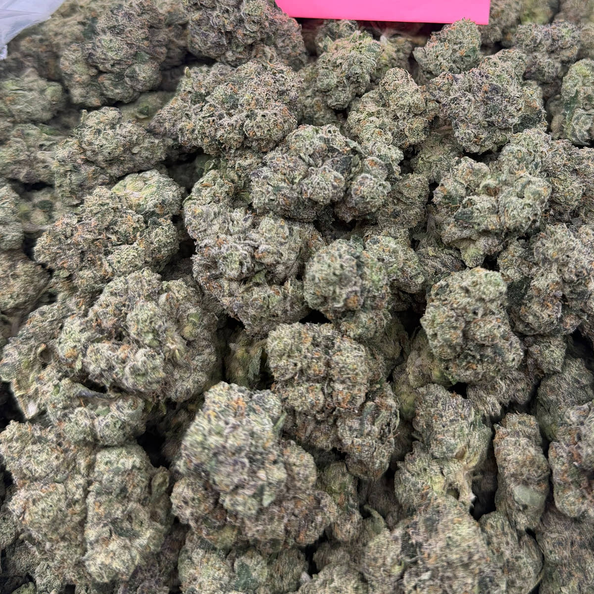 China Whites bulk THCA flower — Plain Jane 1 lb