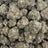 Cindy 99 bulk THCA flower — Plain Jane 1 lb