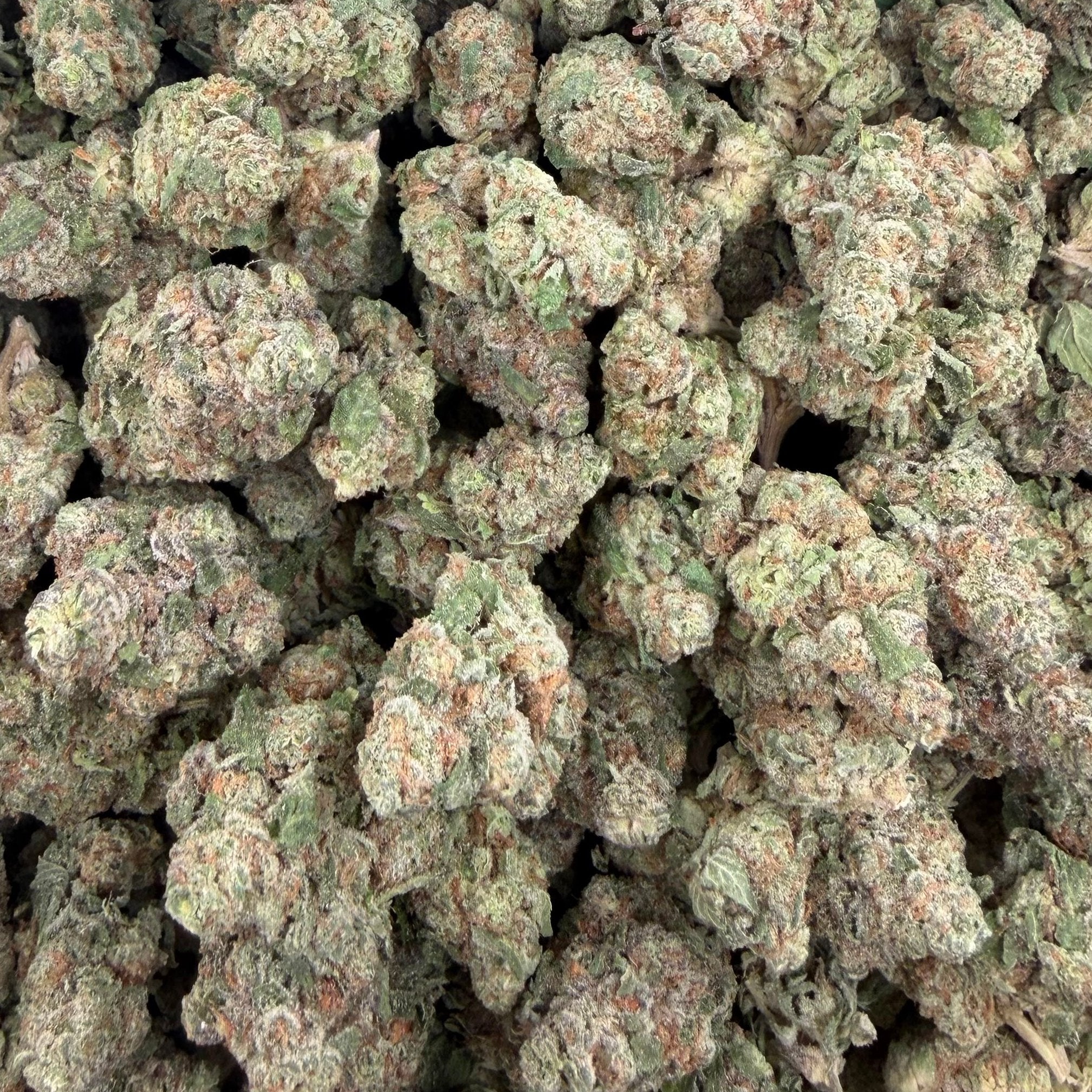 Colombia Gold bulk THCA flower — Plain Jane 1 lb
