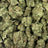 Colombia Gold bulk THCA flower — Plain Jane 1 lb