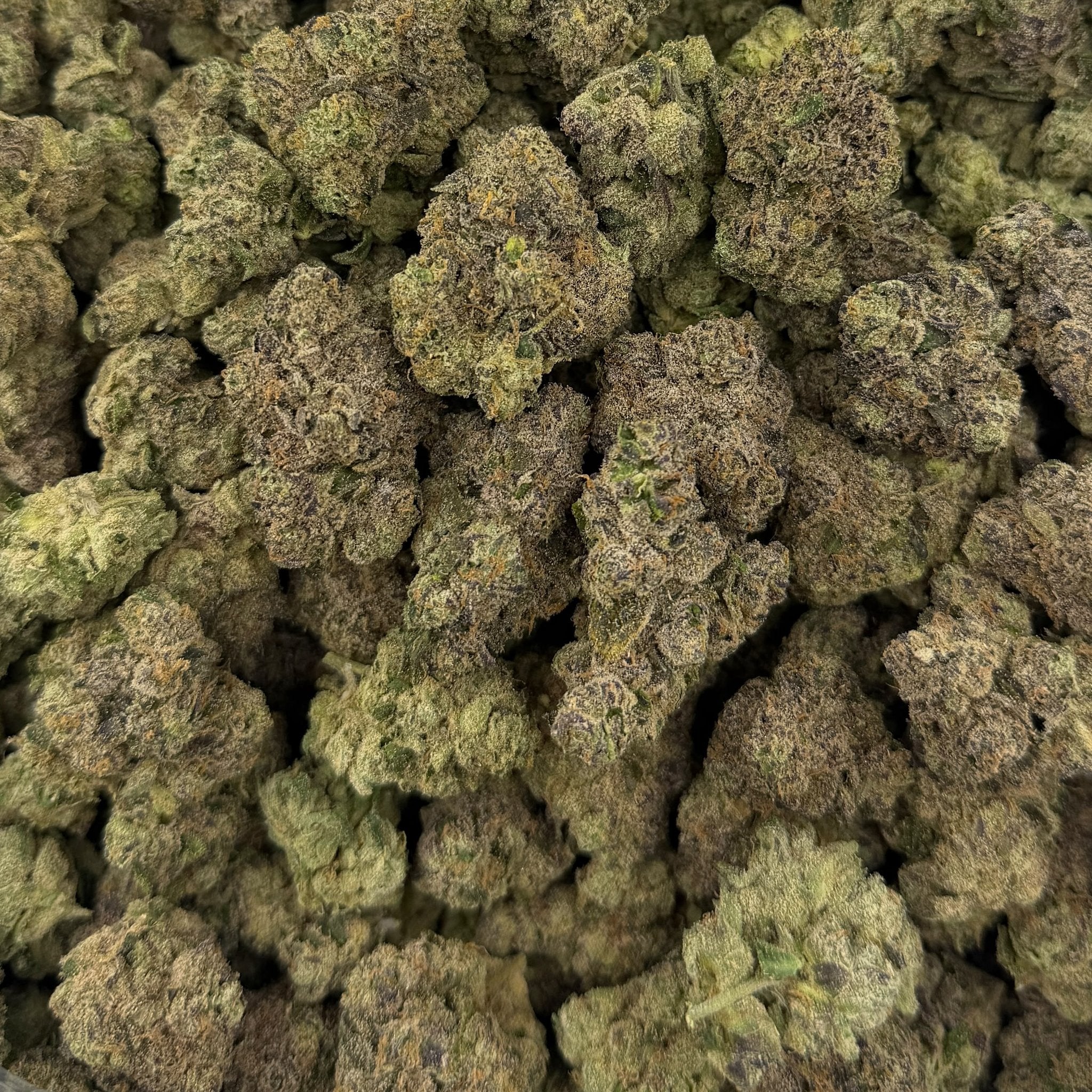 Cosmic Taffy bulk THCA flower — Plain Jane 1 lb