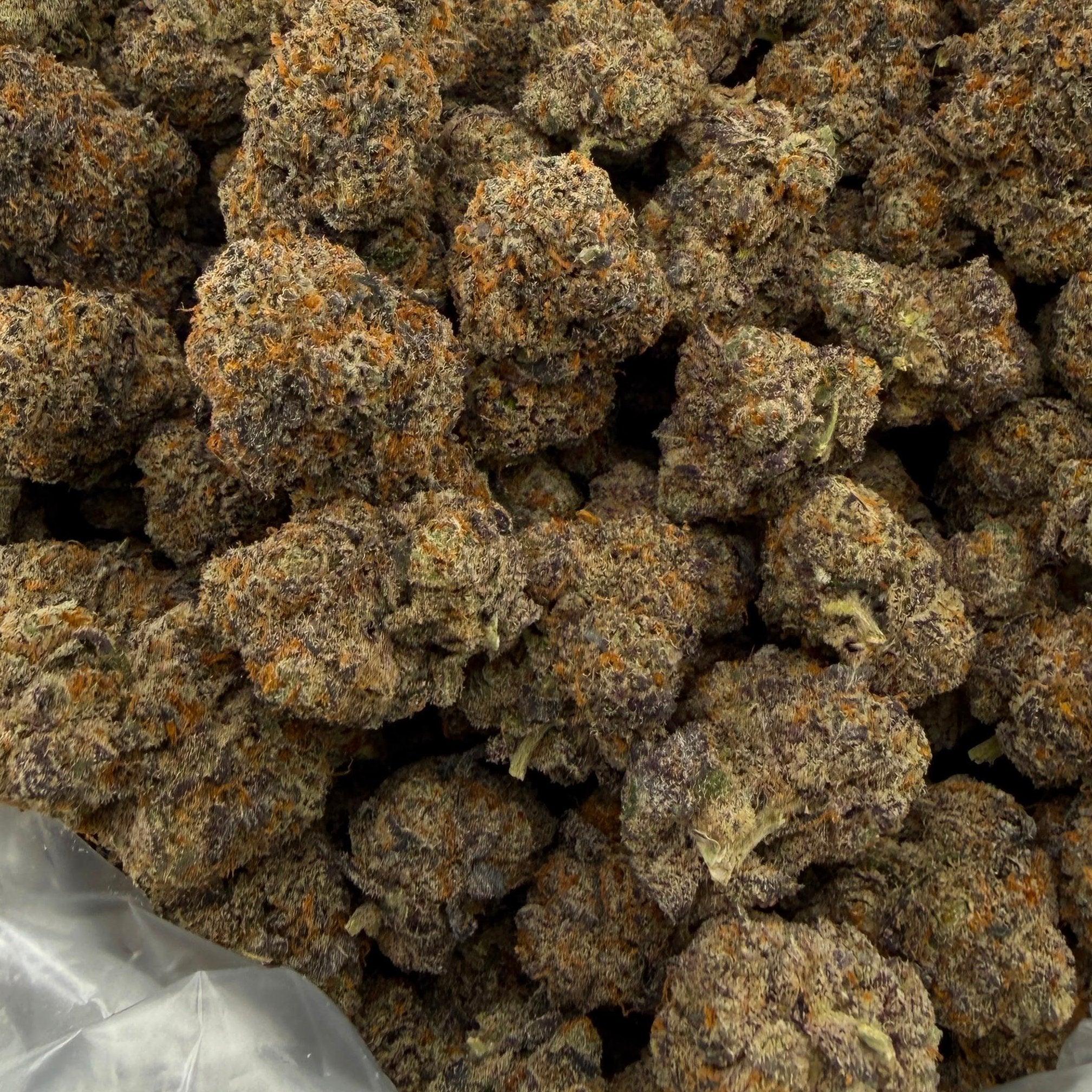 Coup City Kush bulk THCA flower — Plain Jane 1 lb