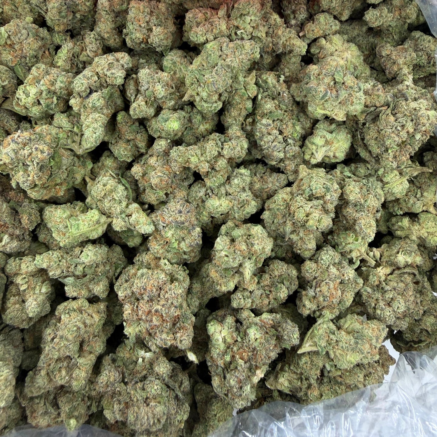 Dante Inferno bulk THCA flower — Plain Jane 1 lb