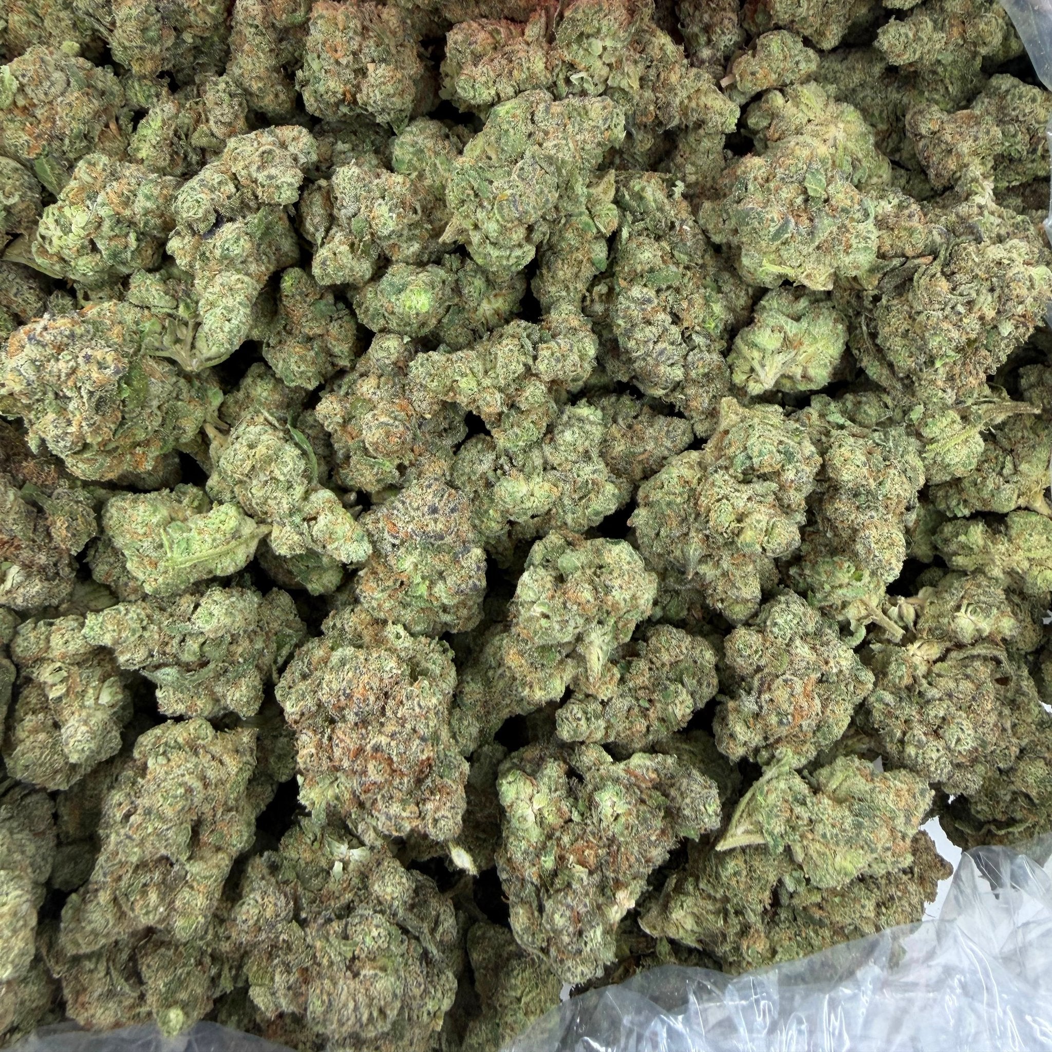Dante Inferno bulk THCA flower — Plain Jane 1 lb