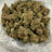 Dantes Wrath bulk THCA flower — Plain Jane 1 lb