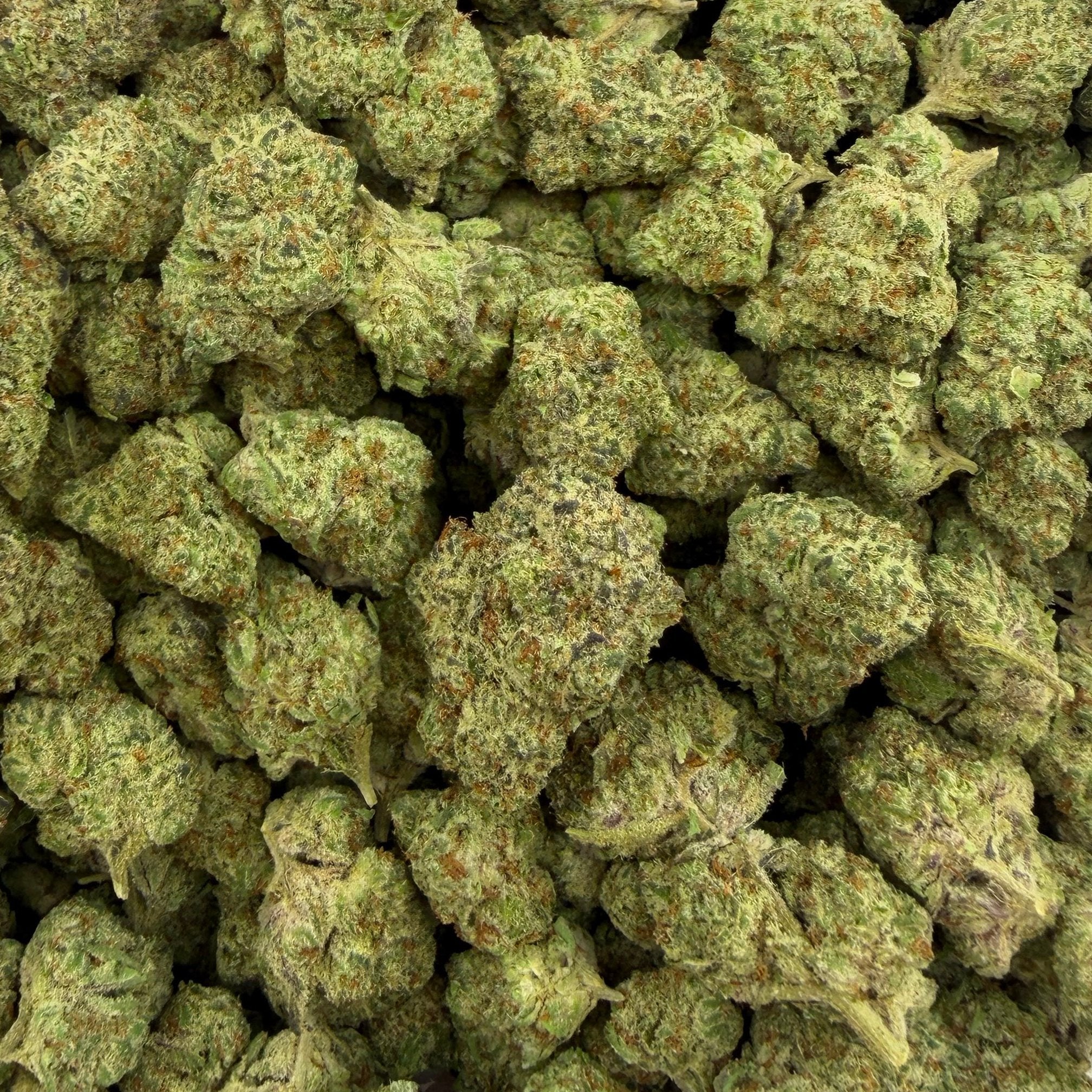 Delta Diamonds bulk THCA flower — Plain Jane 1 lb