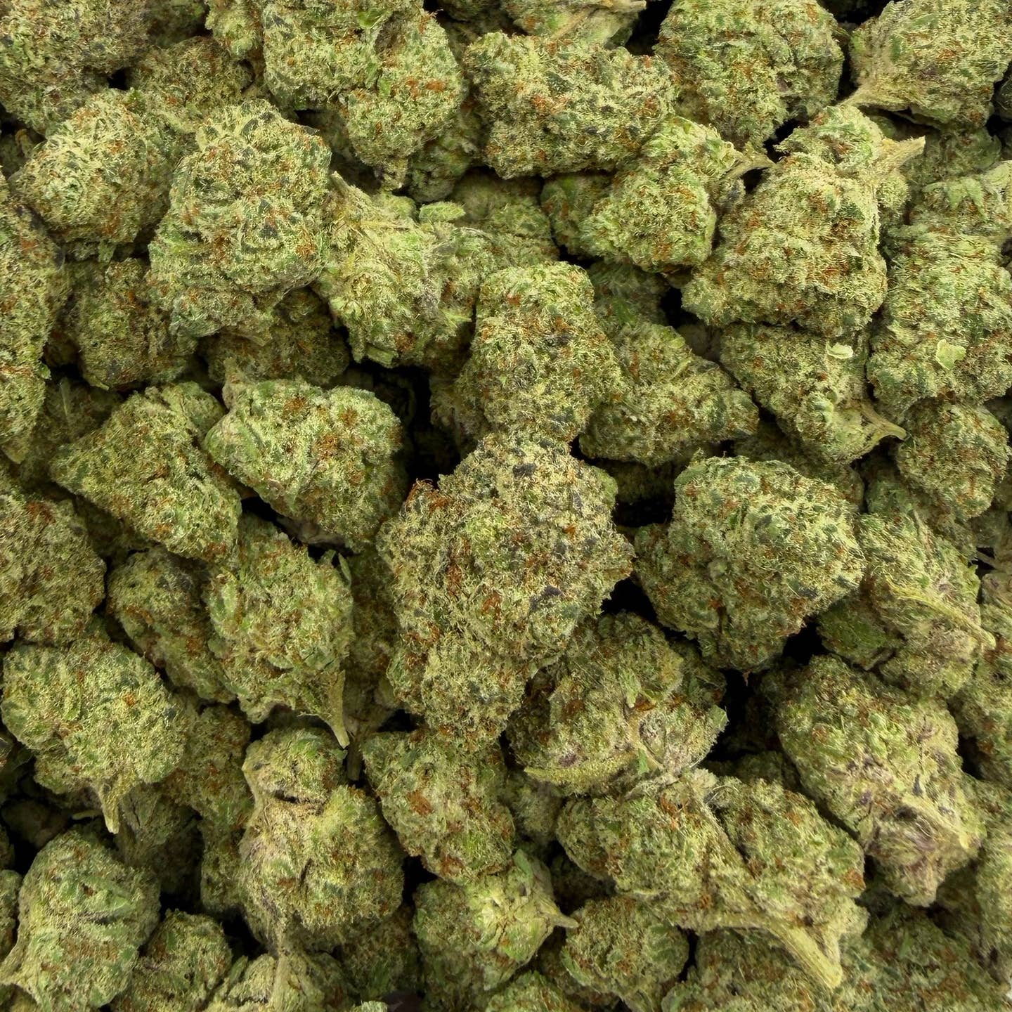 Delta Diamonds bulk THCA flower — Plain Jane 1 lb