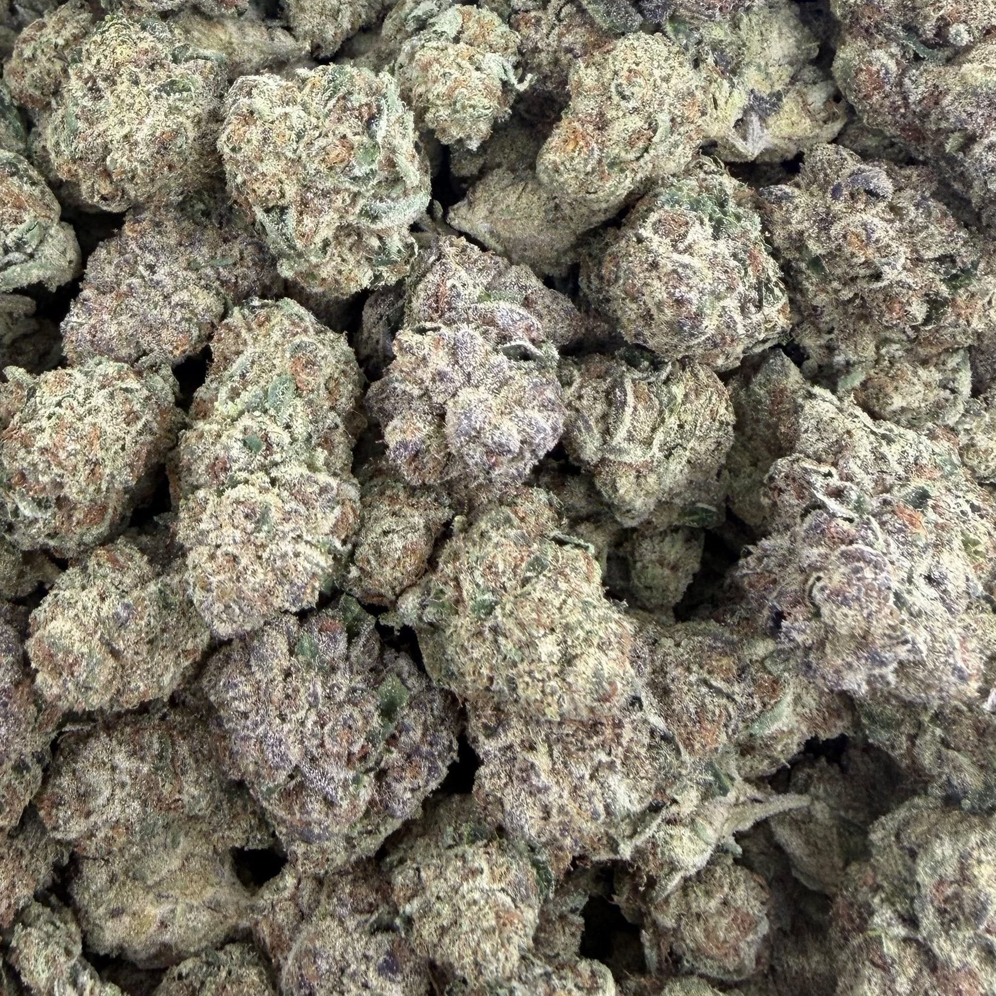 Delta Diamonds bulk THCA flower — Plain Jane 1 lb