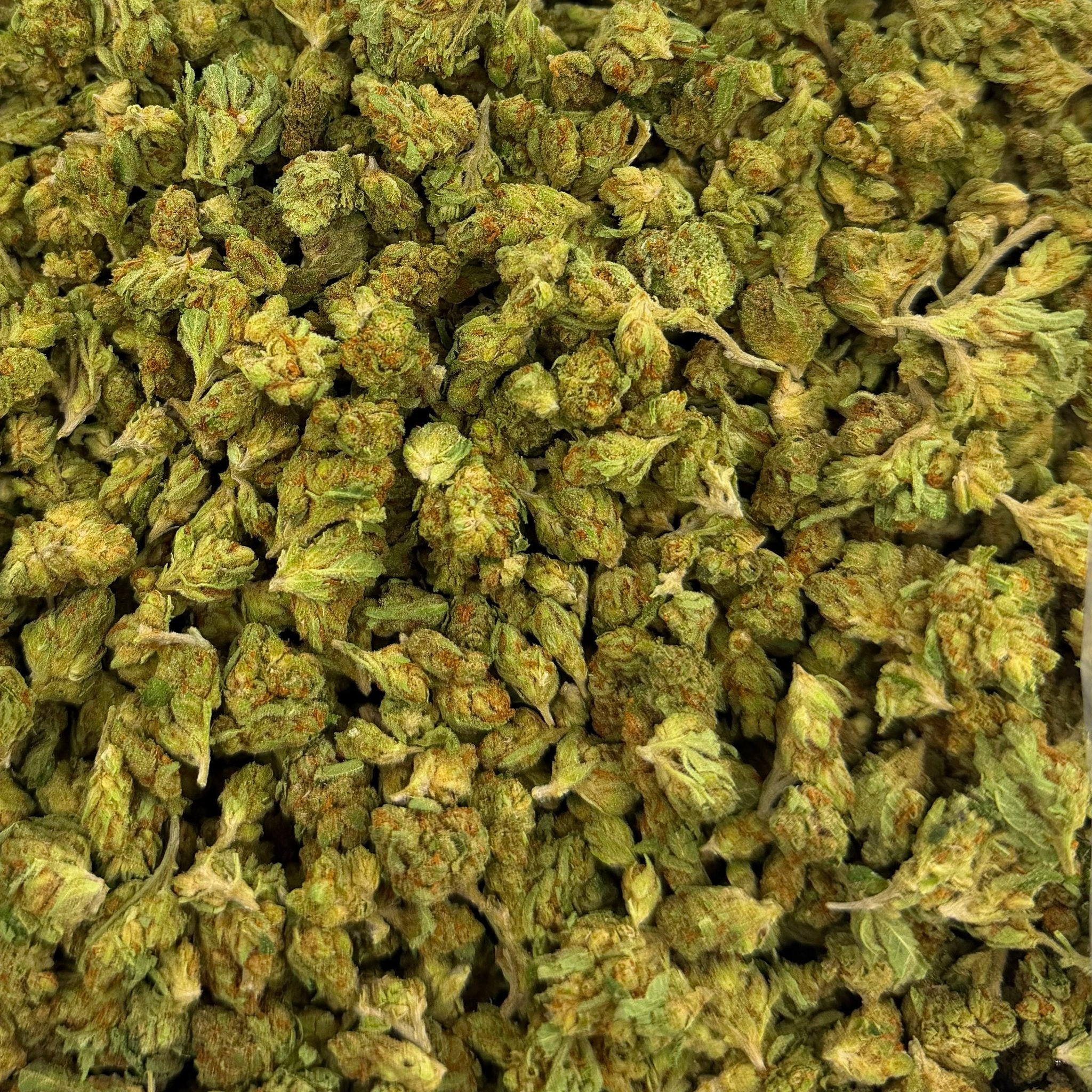 Dieseltonic bulk THCA flower — Plain Jane 1 lb