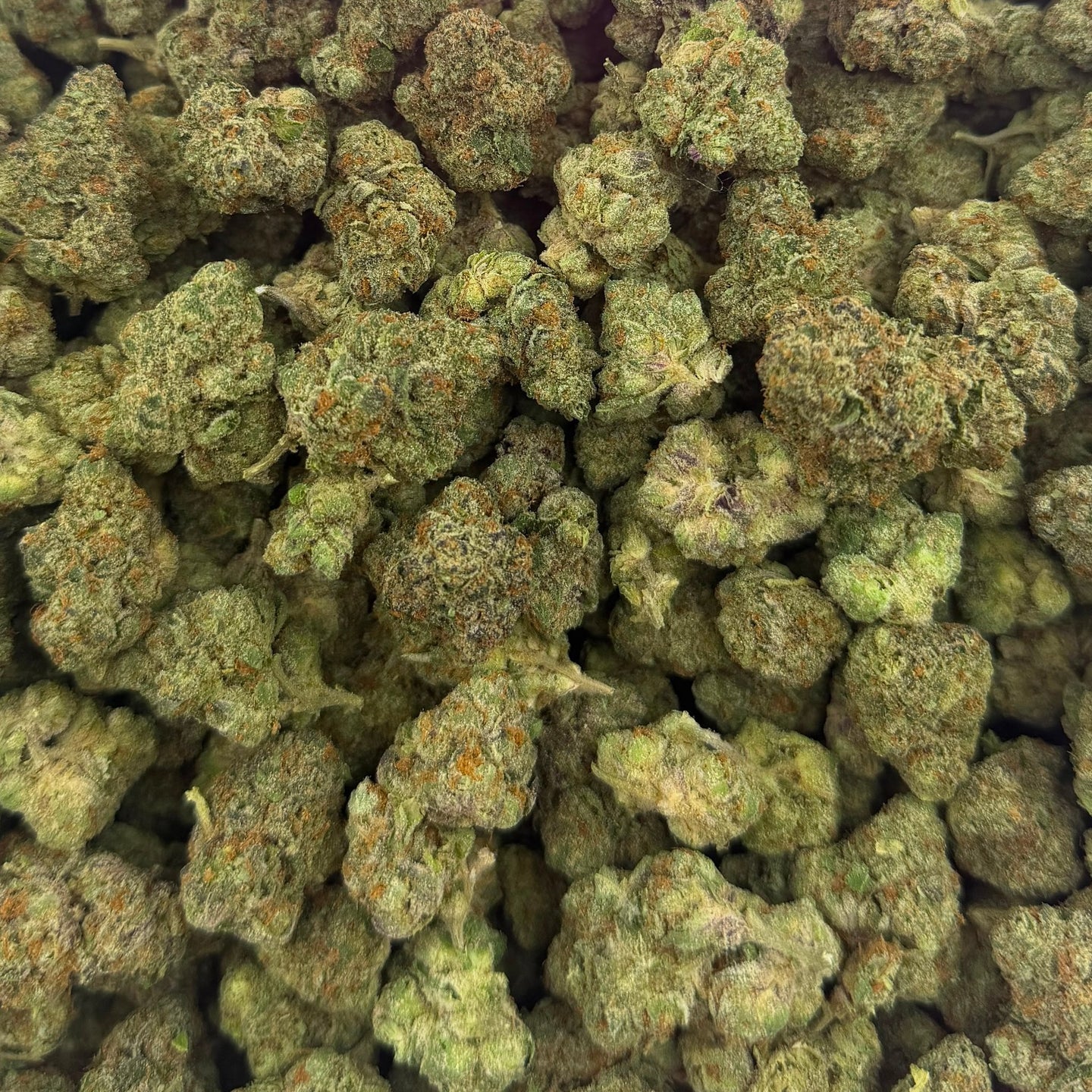Dieseltonic bulk THCA flower — Plain Jane 1 lb