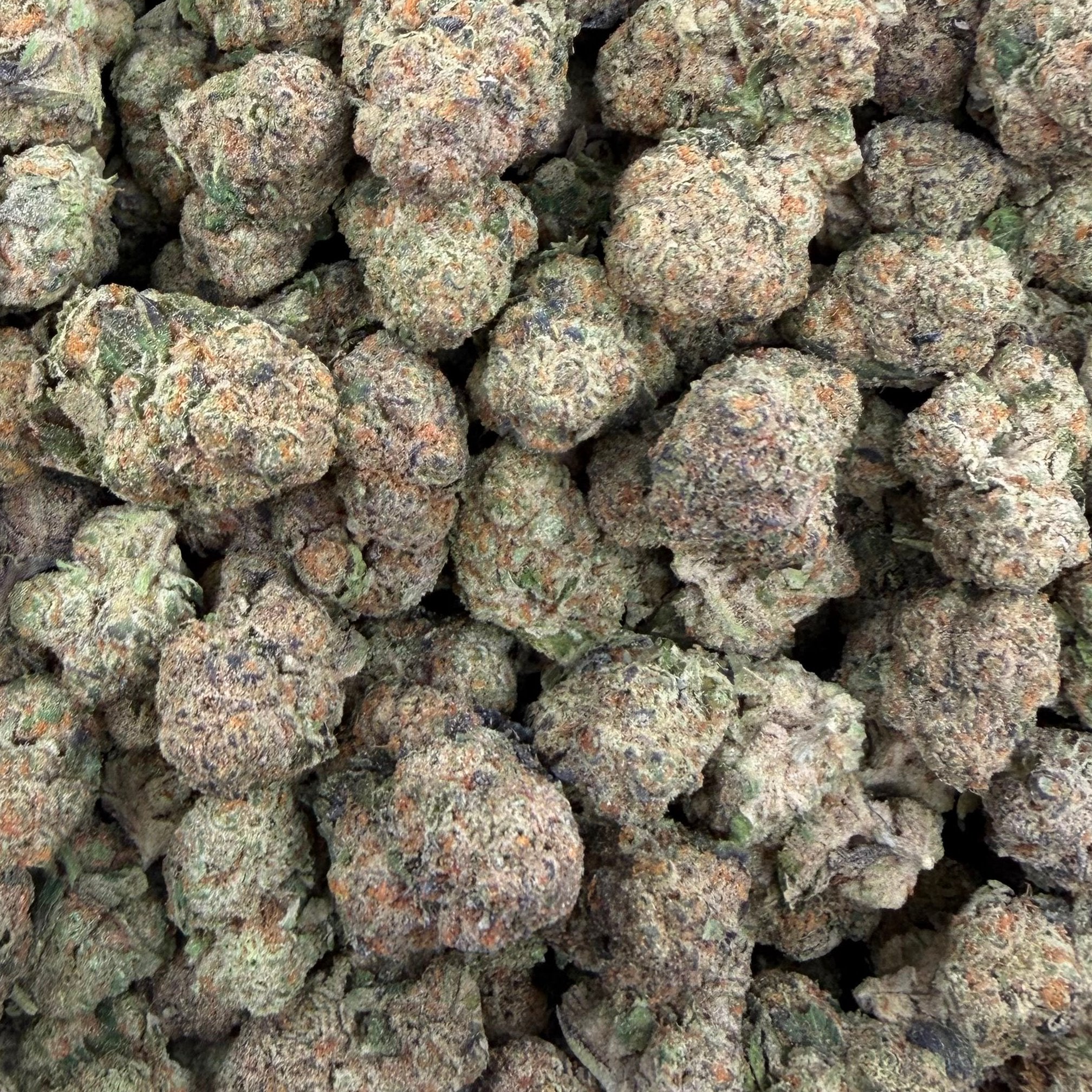 Dieseltonic bulk THCA flower — Plain Jane 1 lb