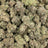 Do Si Do bulk THCA flower — Plain Jane 1 lb