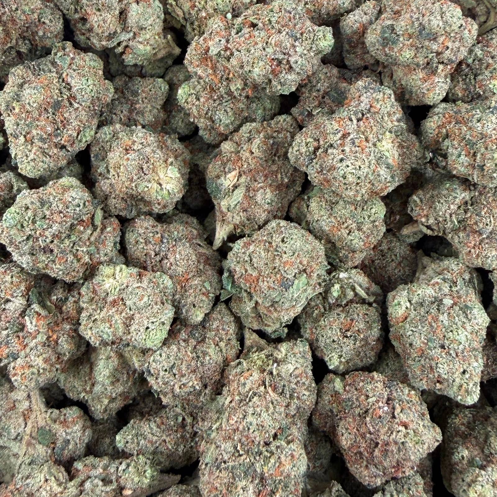 Donny Burger bulk THCA flower — Plain Jane 1 lb