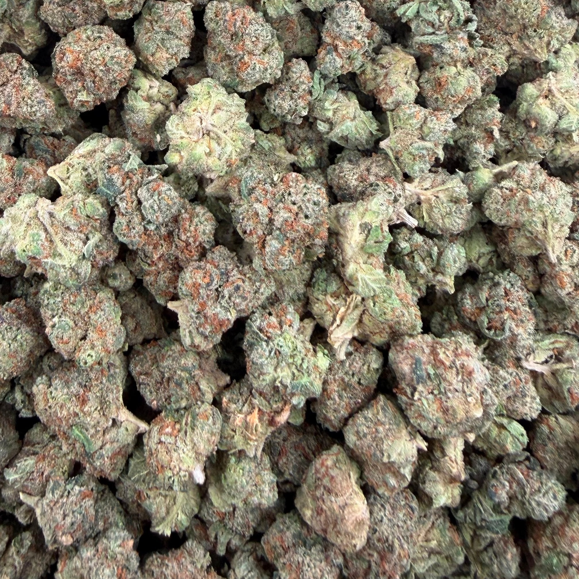 Donny Burger bulk THCA flower — Plain Jane 1 lb