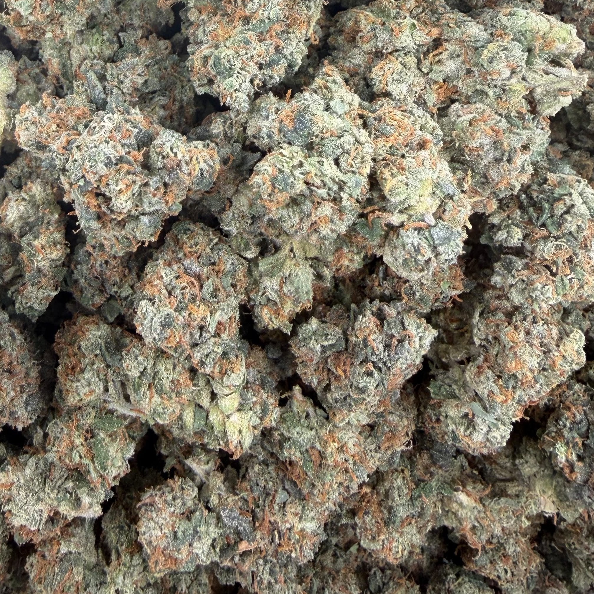 Donny Burger bulk THCA flower — Plain Jane 1 lb
