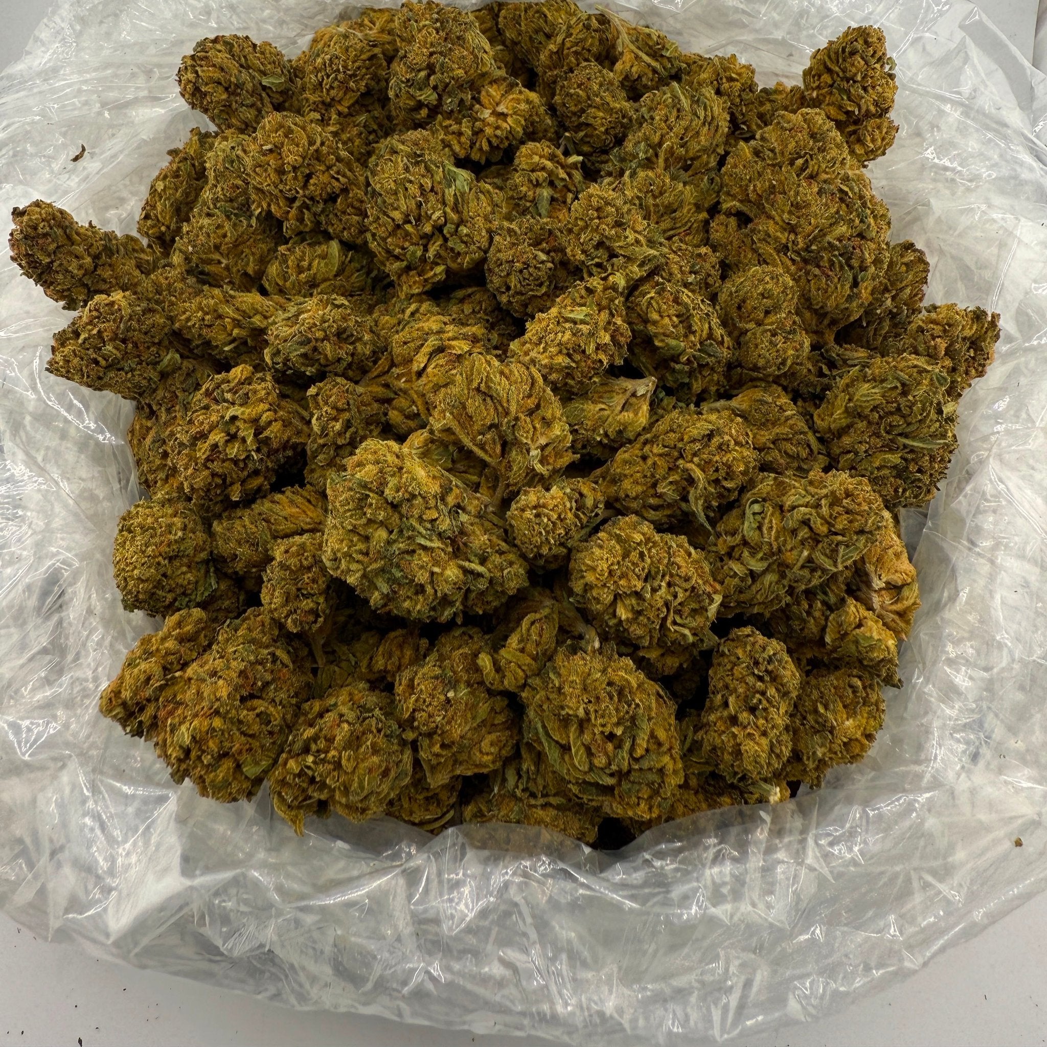 Double Cake bulk THCA flower — Plain Jane 1 lb