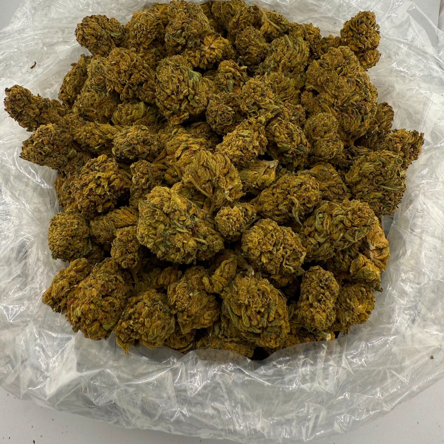 Double Cake bulk THCA flower — Plain Jane 1 lb