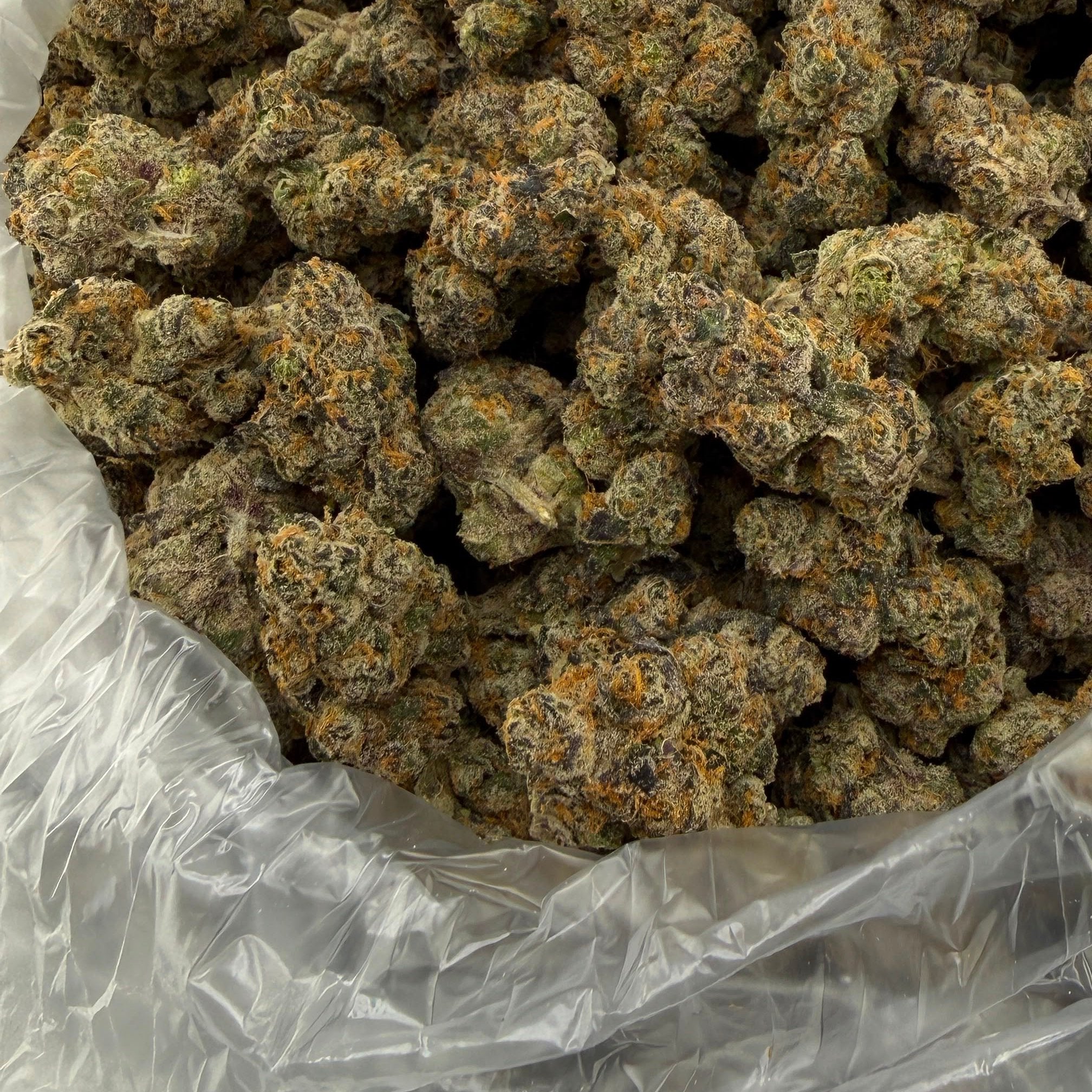 Double Cake bulk THCA flower — Plain Jane 1 lb