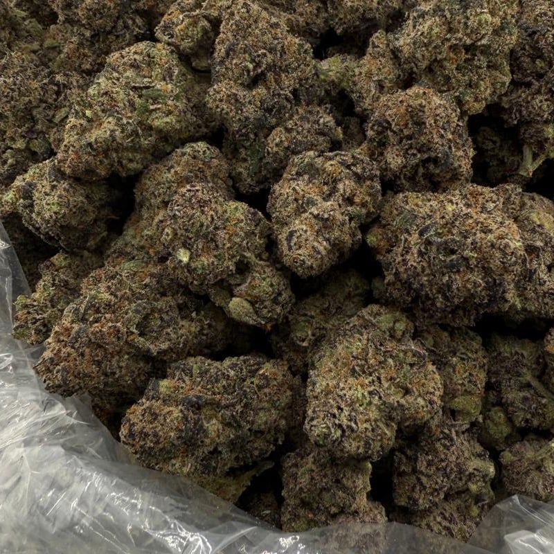 Drippin Dots bulk THCA flower — Plain Jane 1 lb
