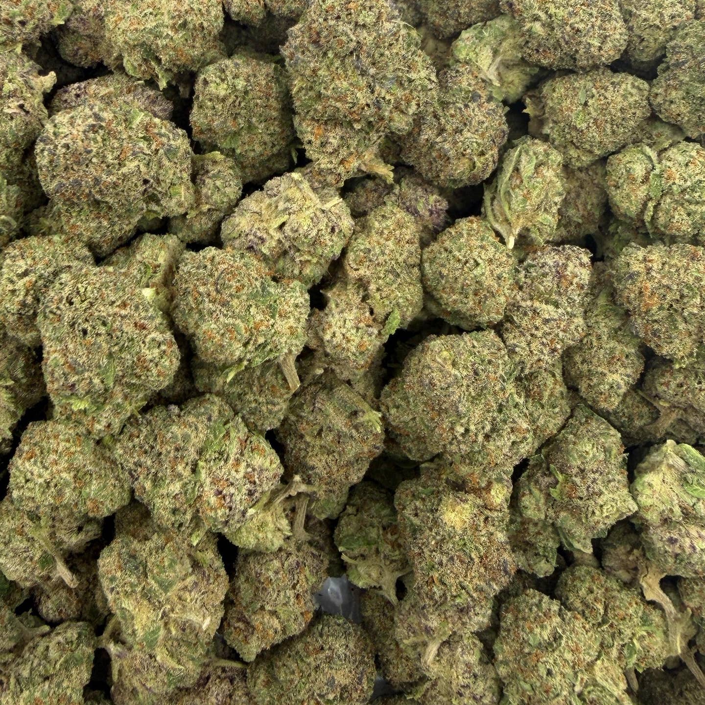 Dusty Diamonds bulk THCA flower — Plain Jane 1 lb