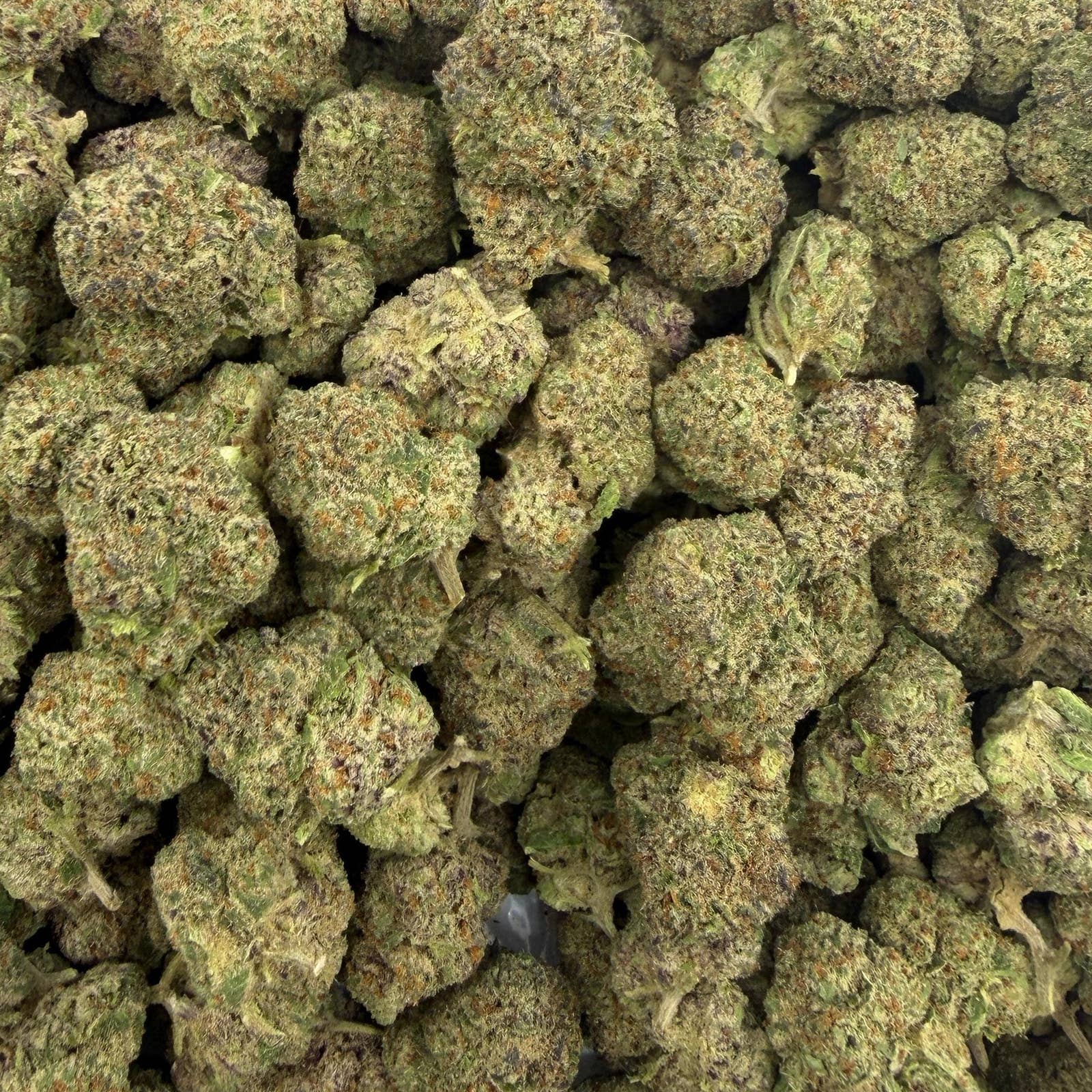 Dusty Diamonds bulk THCA flower — Plain Jane 1 lb
