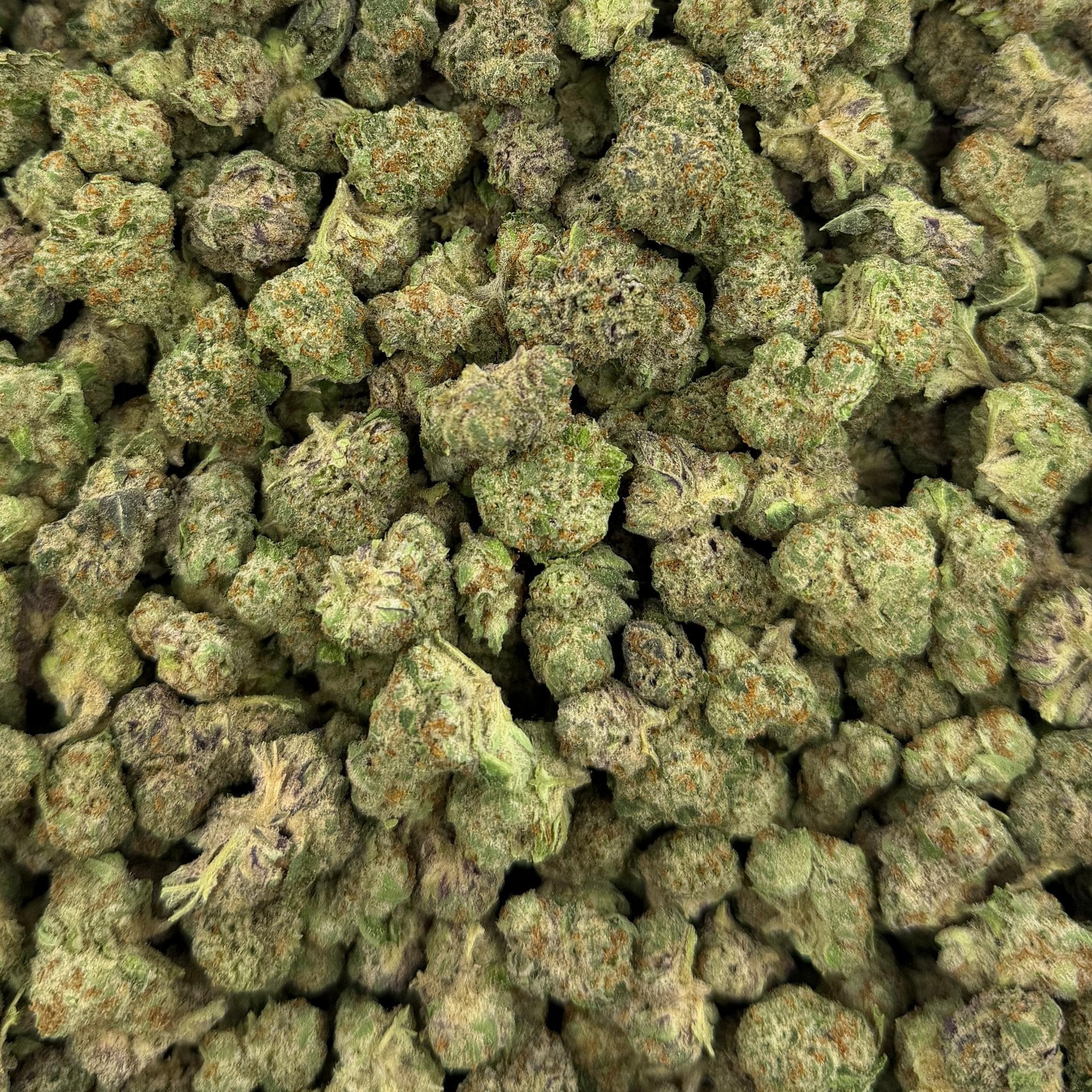 Dusty Diamonds bulk THCA flower — Plain Jane 1 lb