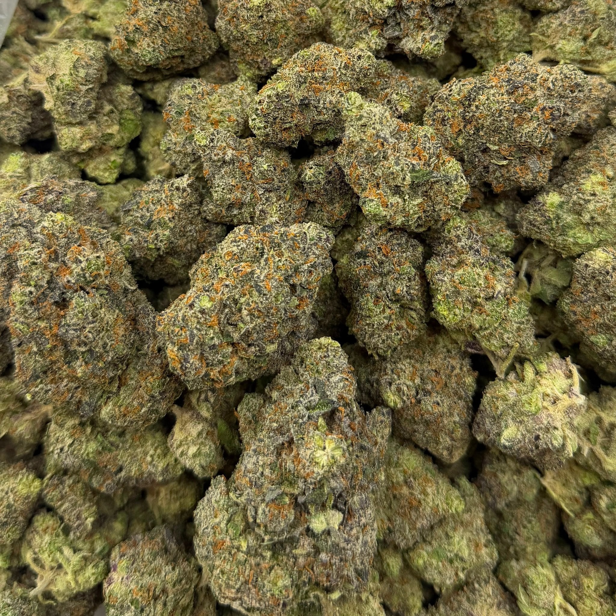 Dutch Treat bulk THCA flower — Plain Jane 1 lb
