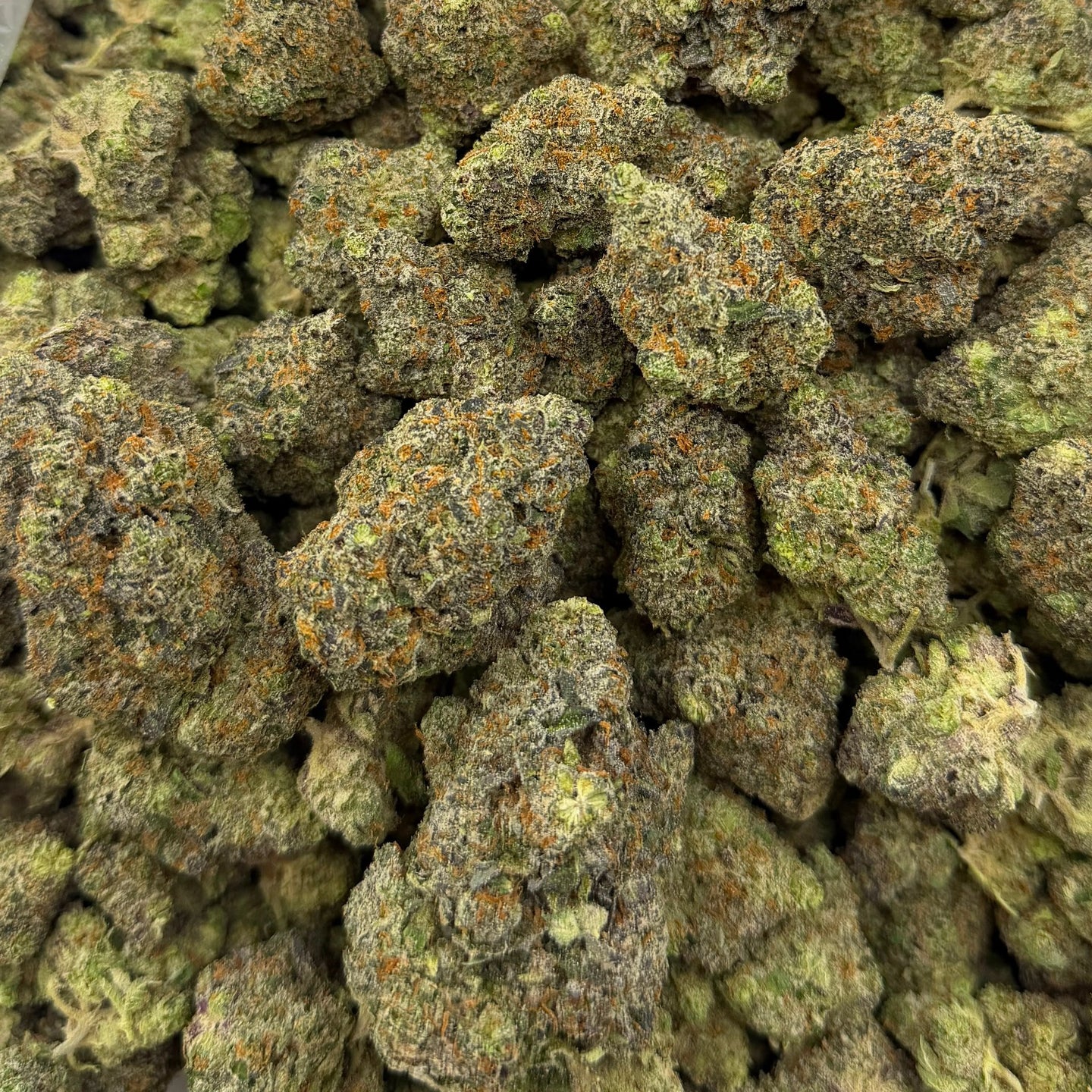 Dutch Treat bulk THCA flower — Plain Jane 1 lb