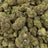Dutch Treat bulk THCA flower — Plain Jane 1 lb