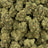 E-85 bulk THCA flower — Plain Jane 1 lb