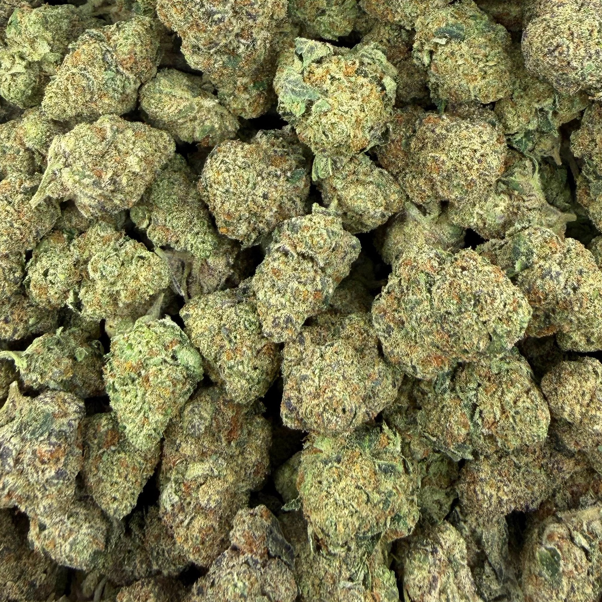 Electric Nerds bulk THCA flower — Plain Jane 1 lb