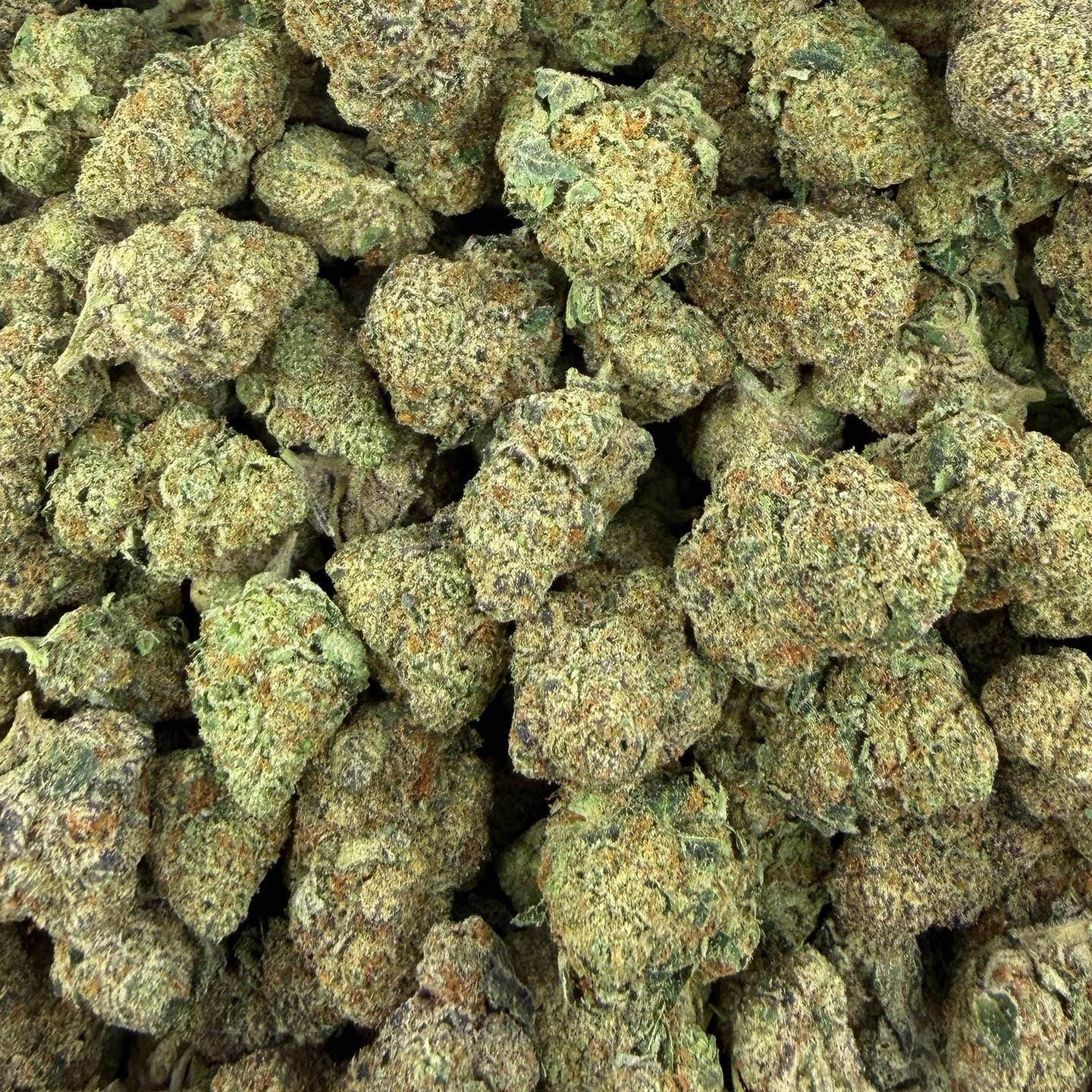 Electric Nerds bulk THCA flower — Plain Jane 1 lb