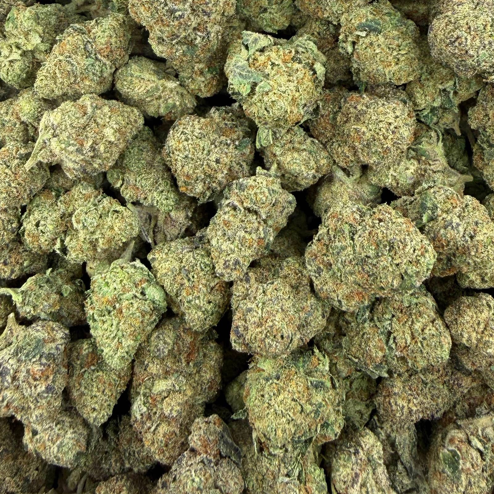 Electric Nerds bulk THCA flower — Plain Jane 1 lb