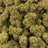Elektra Ice bulk THCA flower — Plain Jane 1 lb