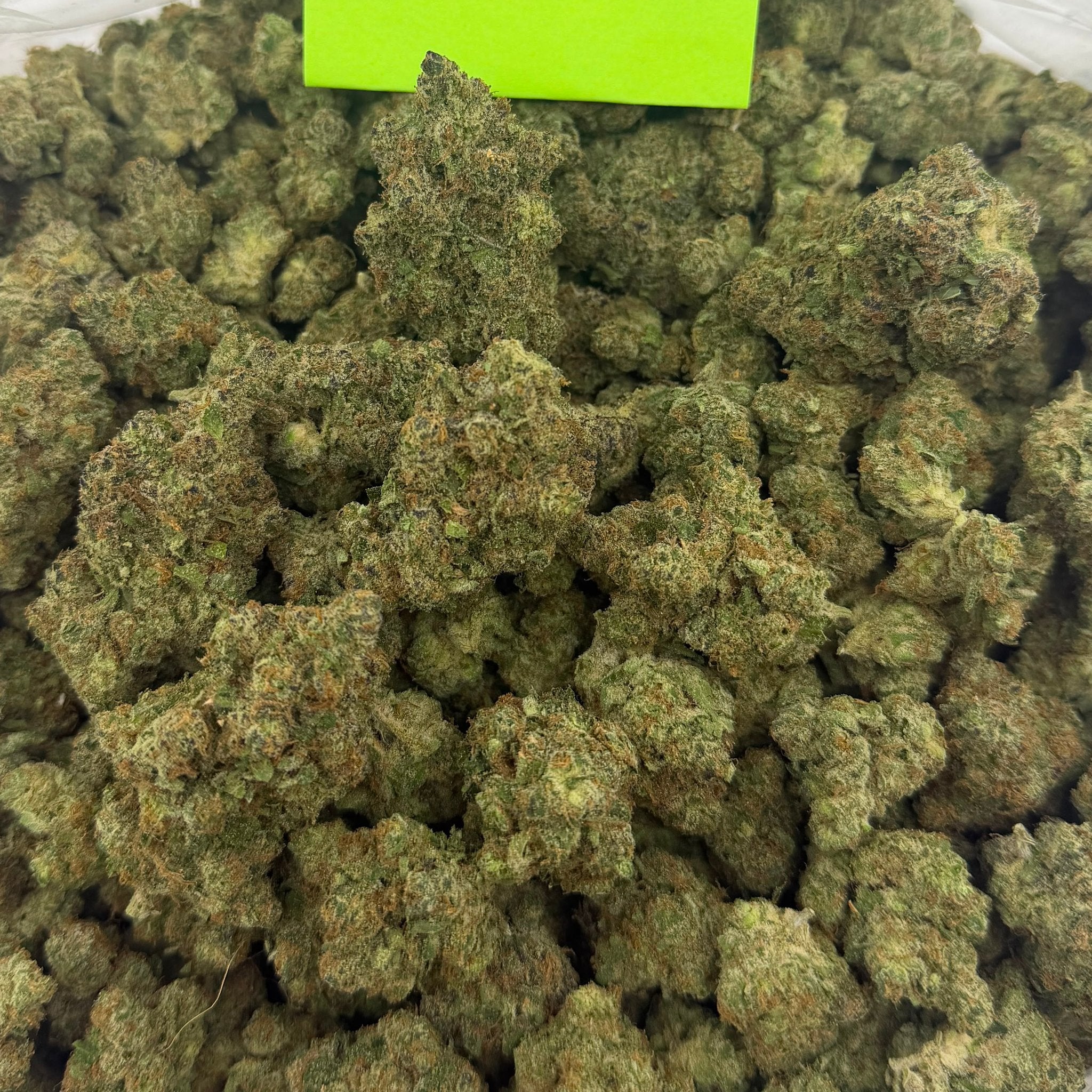 Extreme Smoke bulk THCA flower — Plain Jane 1 lb
