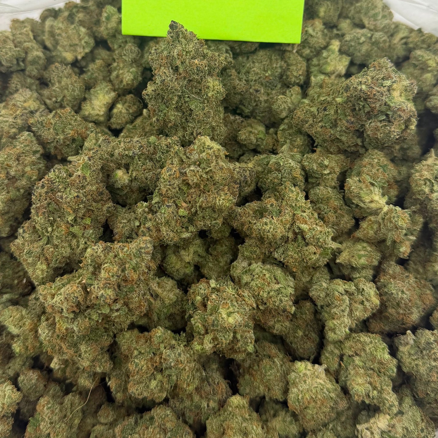 Extreme Smoke bulk THCA flower — Plain Jane 1 lb