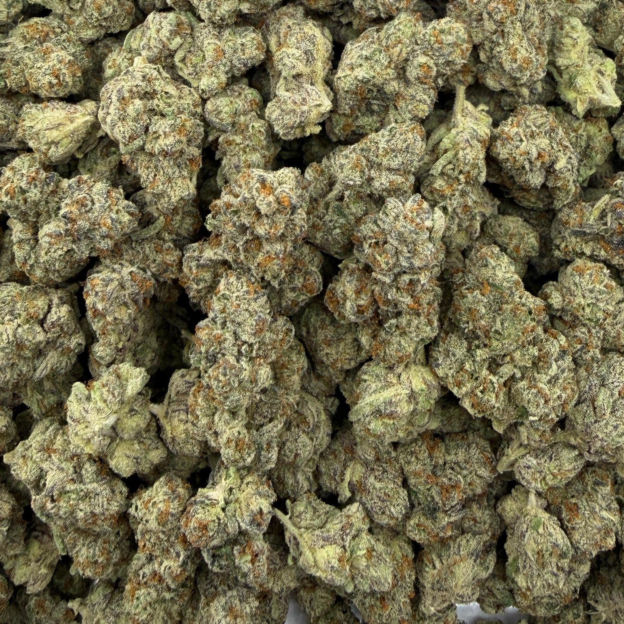 Extreme Smoke bulk THCA flower — Plain Jane 1 lb