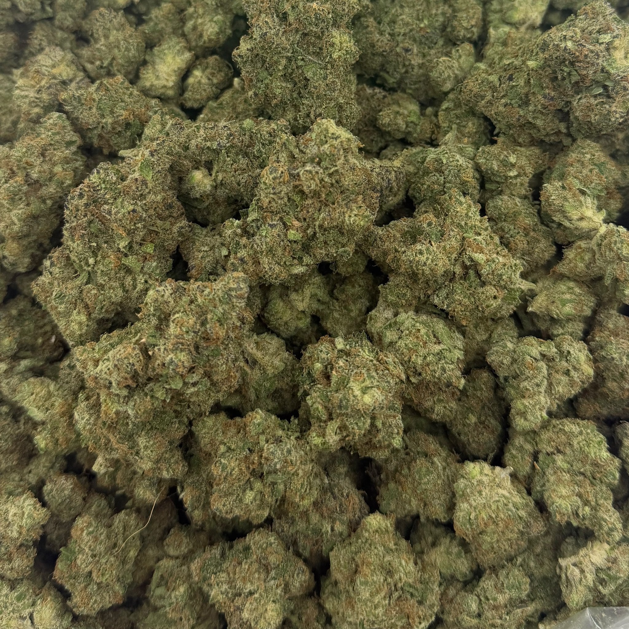 Extreme Smoke bulk THCA flower — Plain Jane 1 lb