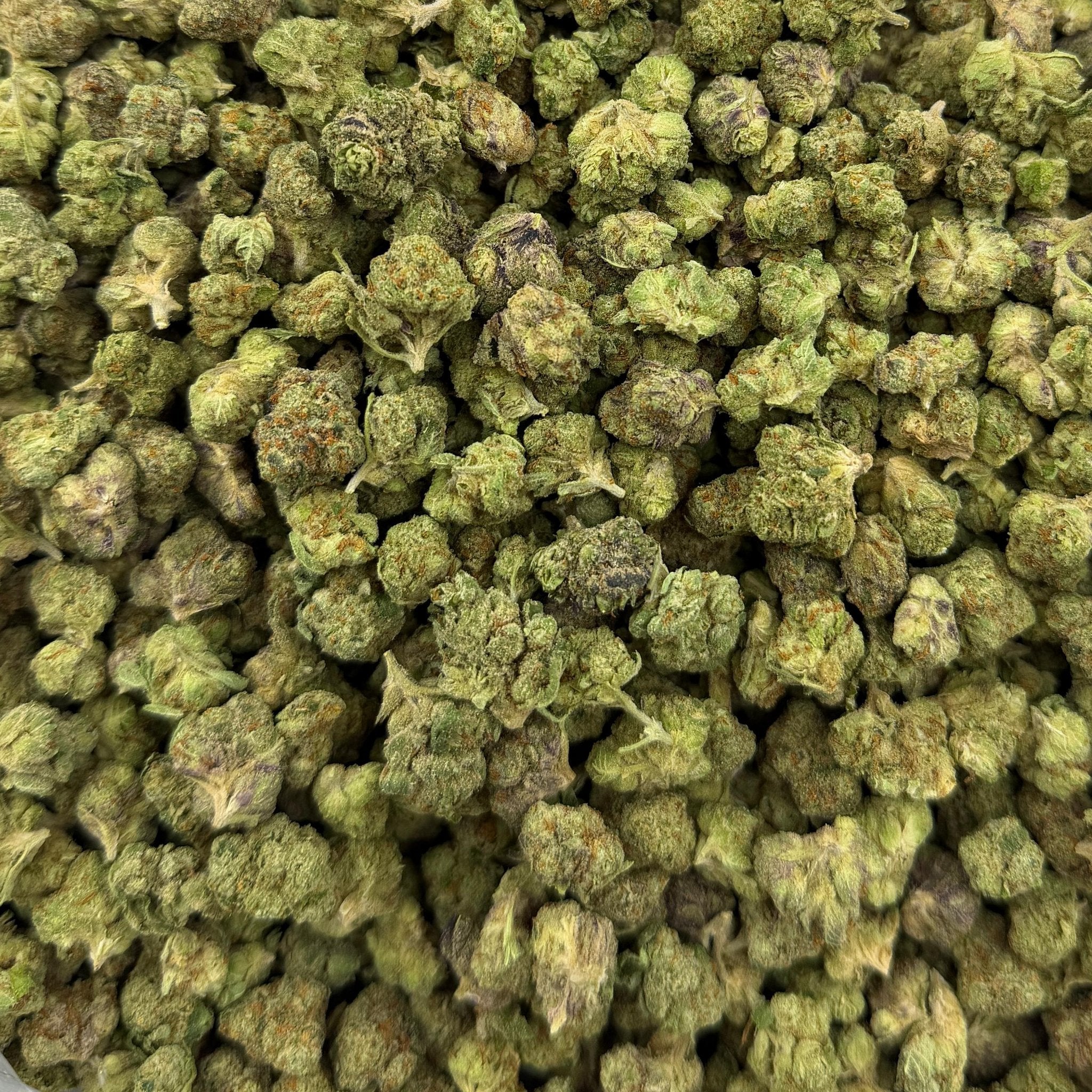 Eye Candy bulk THCA flower — Plain Jane 1 lb