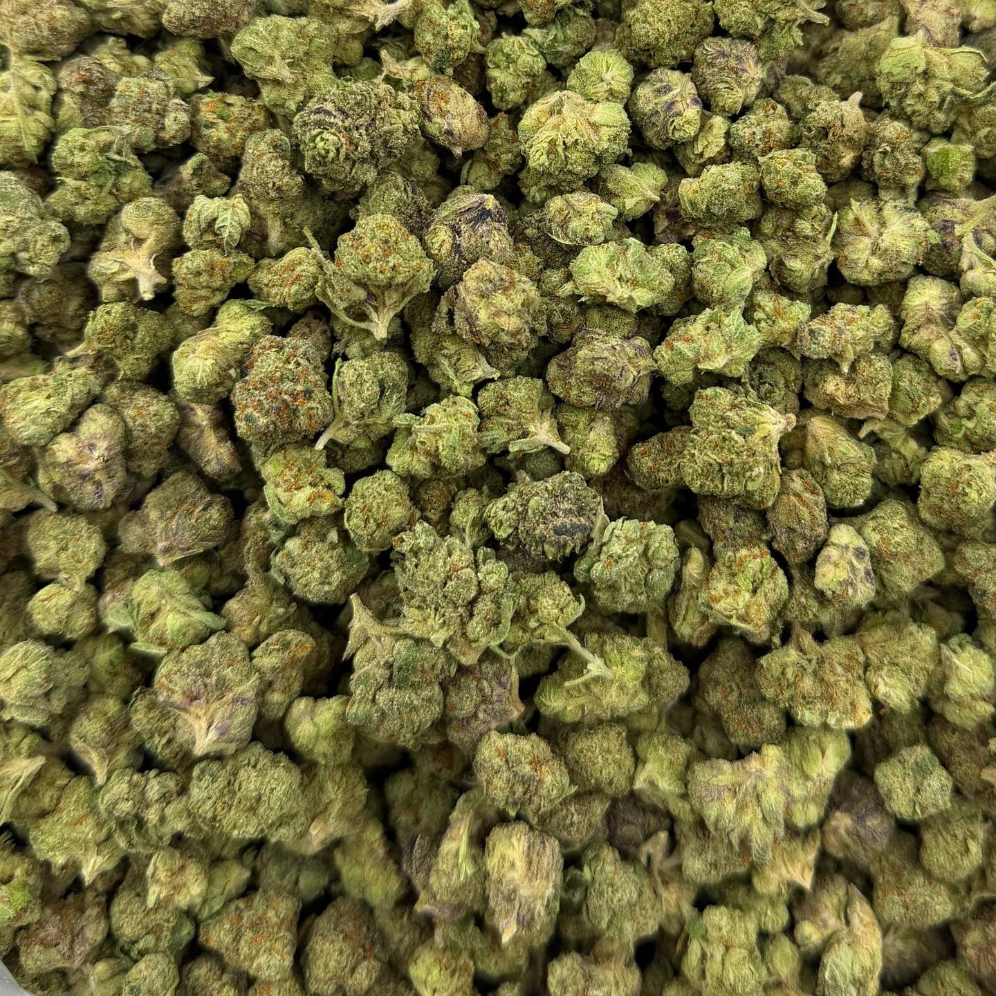 Eye Candy bulk THCA flower — Plain Jane 1 lb