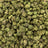 Eye Candy bulk THCA flower — Plain Jane 1 lb
