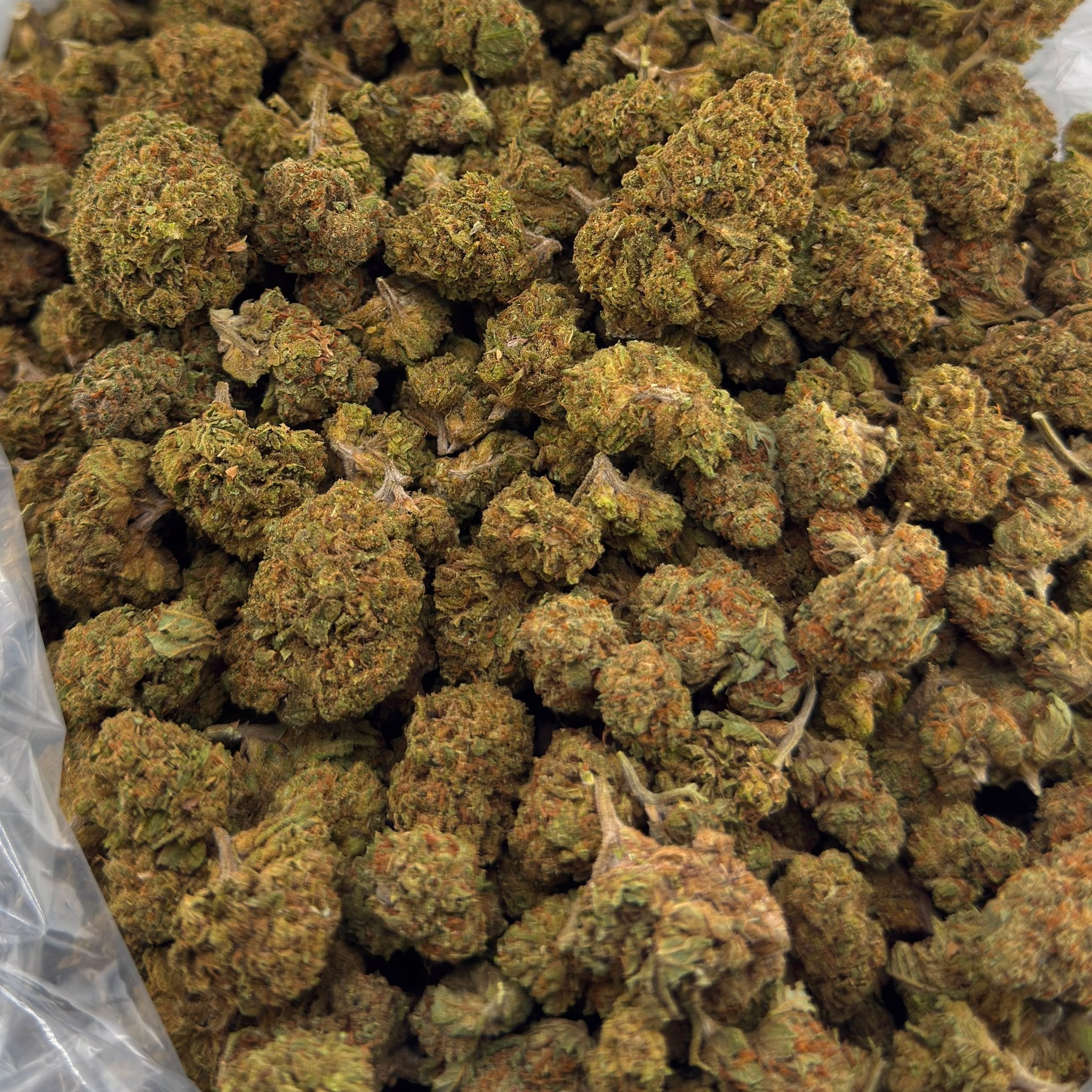 Eye Candy bulk THCA flower — Plain Jane 1 lb