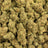 Eye Candy bulk THCA flower — Plain Jane 1 lb