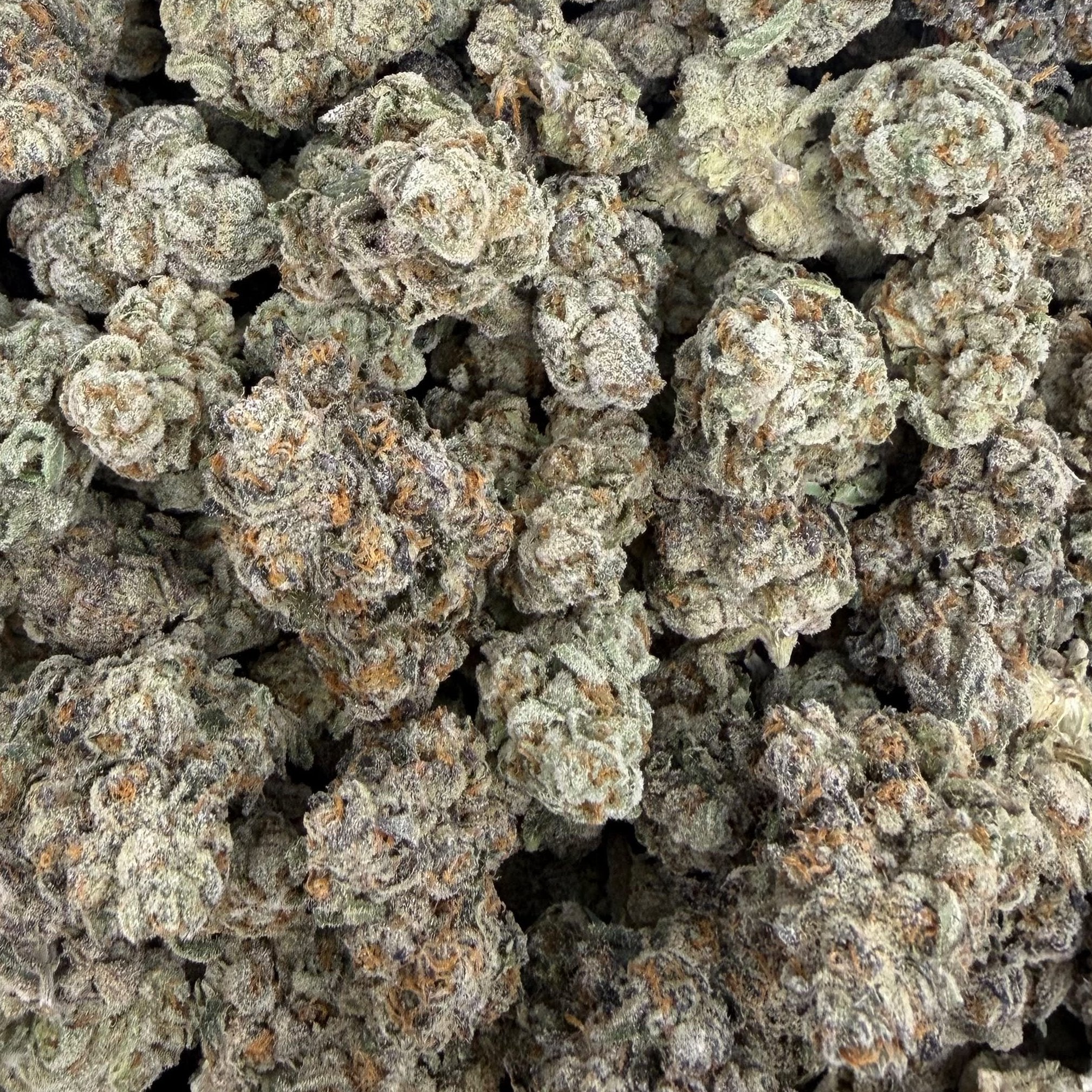 Eye Candy bulk THCA flower — Plain Jane 1 lb