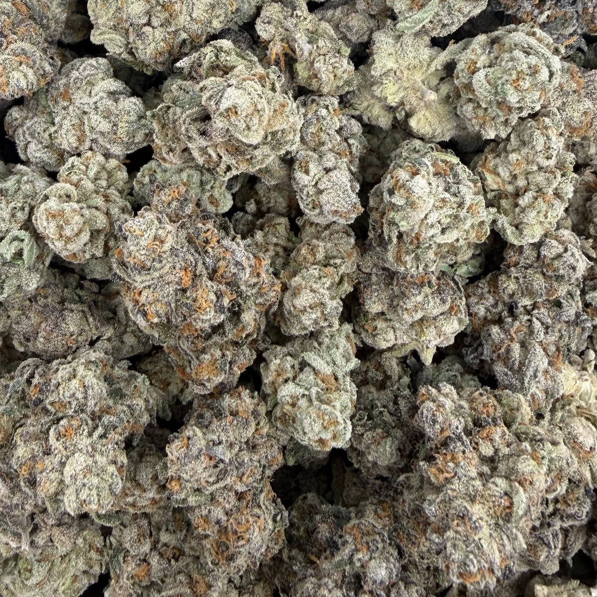 Eye Candy bulk THCA flower — Plain Jane 1 lb