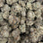 Eye Candy bulk THCA flower — Plain Jane 1 lb