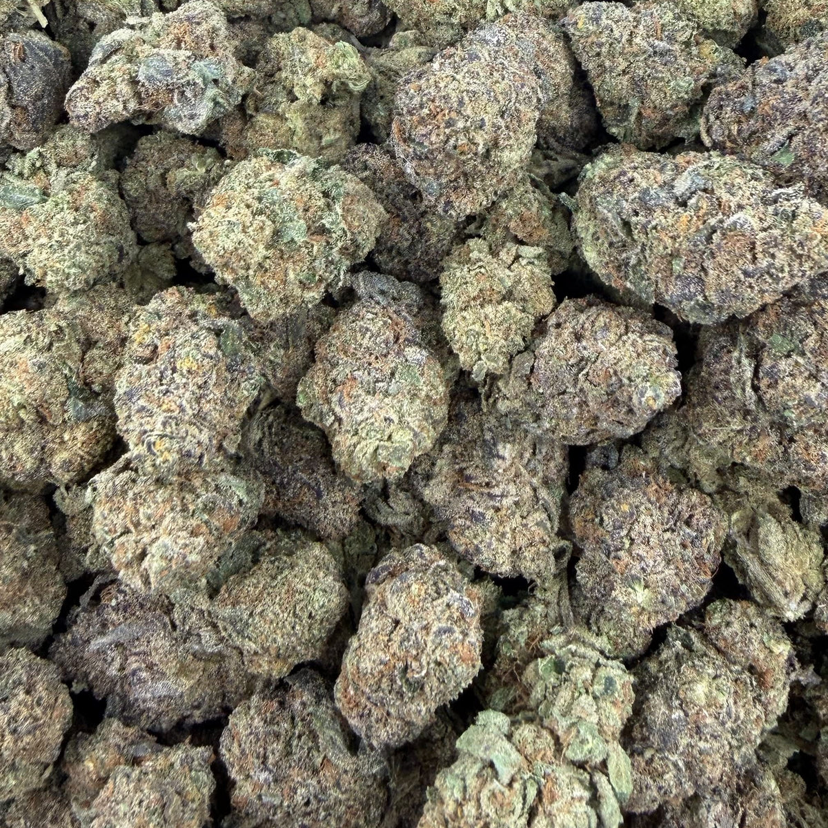 Face Fat bulk THCA flower — Plain Jane 1 lb